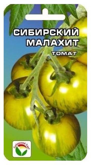 Сорт с иммунитетом к скачкам температуры — томат сибирский гроздевой: описание помидоров