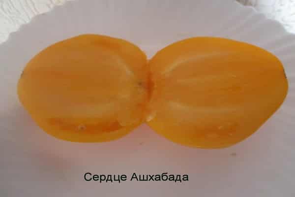 Сердце ашхабада: старый сорт помидоров с оранжевыми крупными плодами