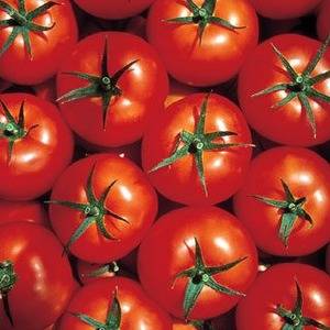 Все самые известные сорта помидор 1000 и 1