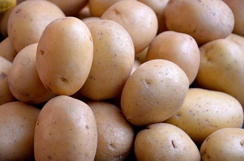 Сколько растет и созревает картофель от посадки до сбора урожая: этапы