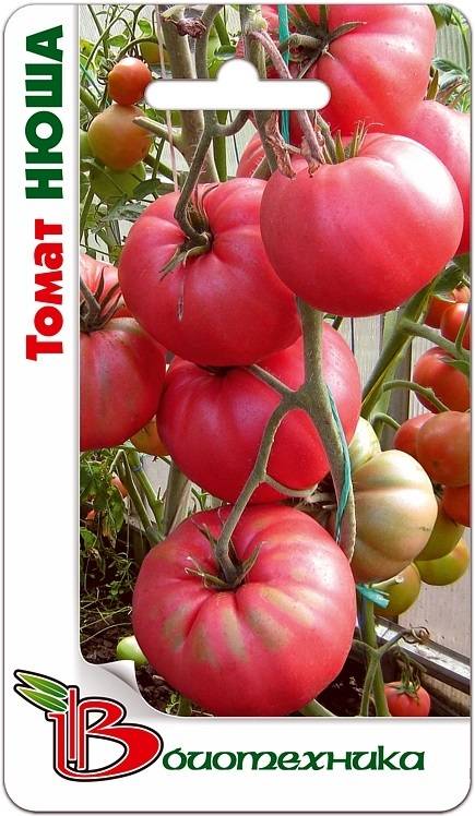 Характеристика и описание сорта томата пинк парадайз, его урожайность
