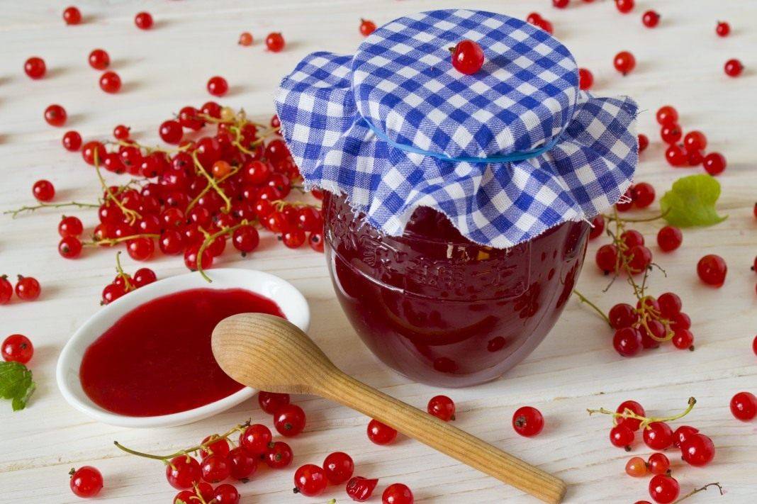 11 лучших рецептов сока из красной смородины на зиму