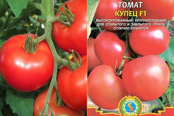 Описание сорта томата боец (буян), его характеристика и выращивание