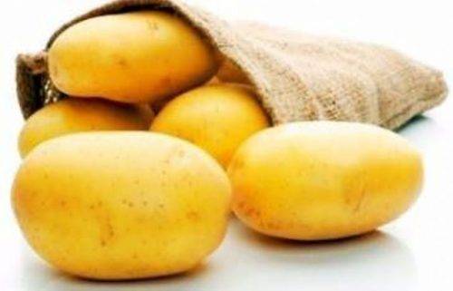 Описание сорта картофеля наташа