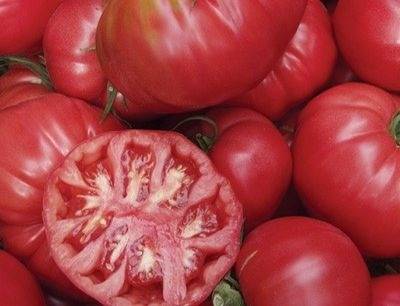 Описание сорта томата Новосибирский хит, особенности выращивания и уход