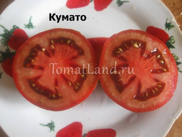 Черноплодные томаты «кумато»