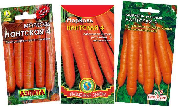 Сорта моркови с фото и описанием