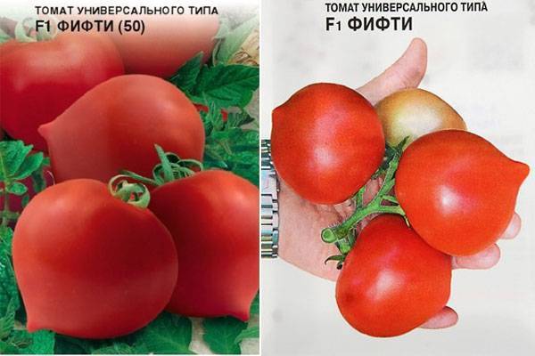 Таблицы характеристик сортов томатов