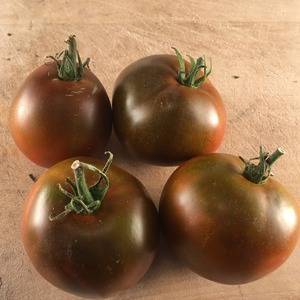Особенности сорта томата чёрный принц, условия его выращивания