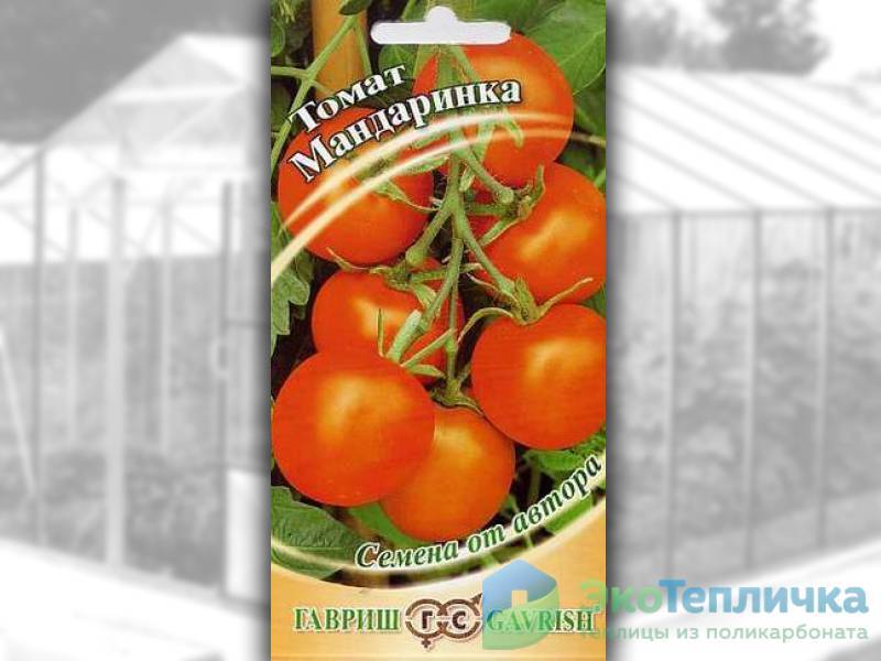 Популярный сорт томатов «большая мамочка»: особенности и правила выращивания
