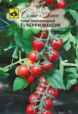 Описание сорта томата лиза, характеристика и урожайность