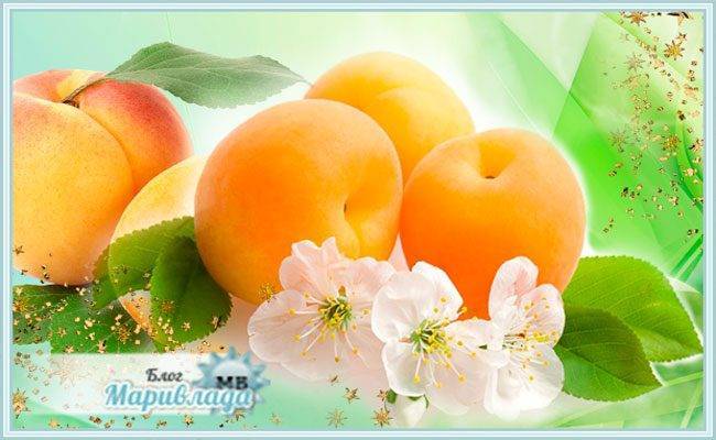 Польза и возможный вред персиков для здоровья человека