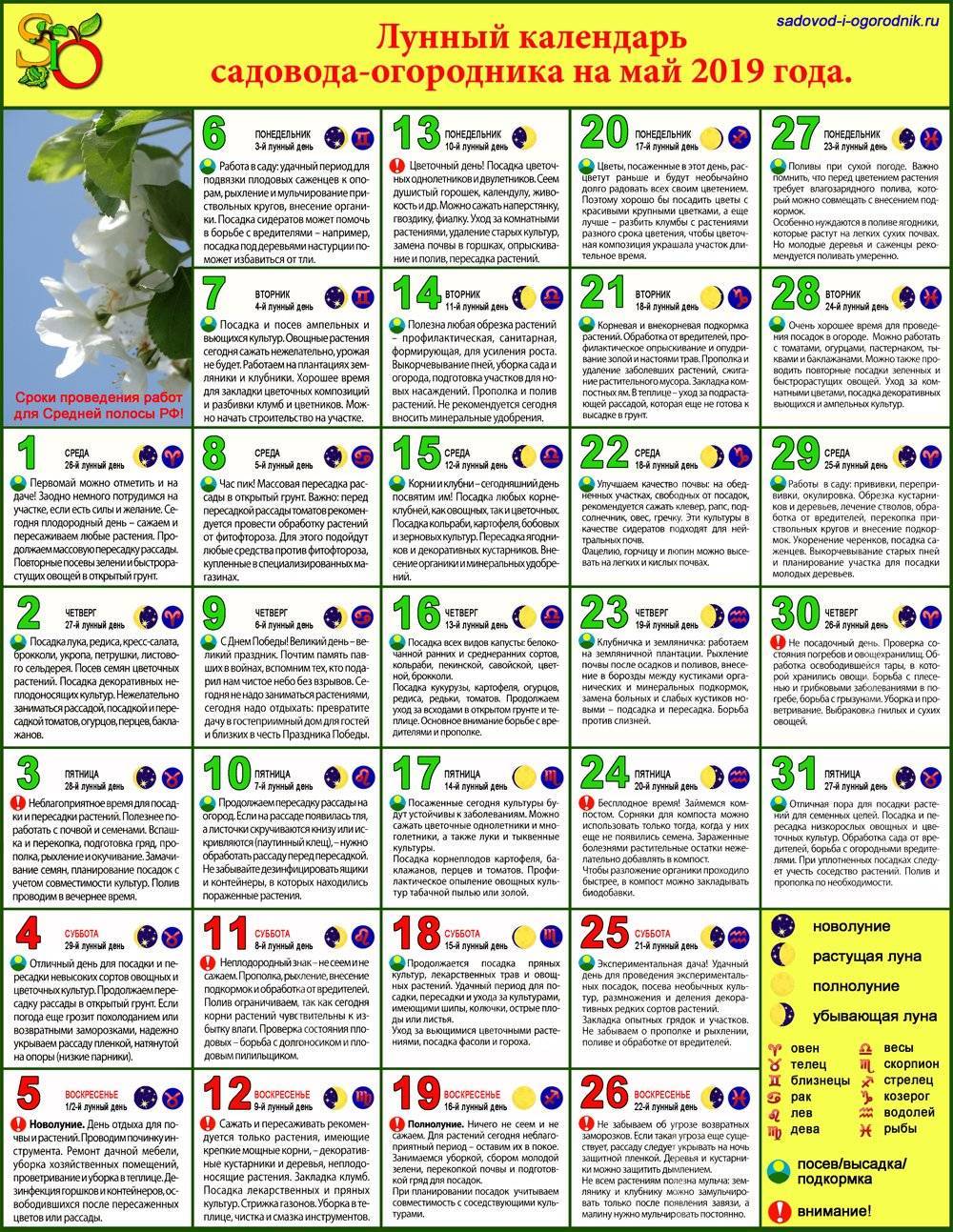 Лунный посевной календарь на февраль 2020 года садовода и огородника