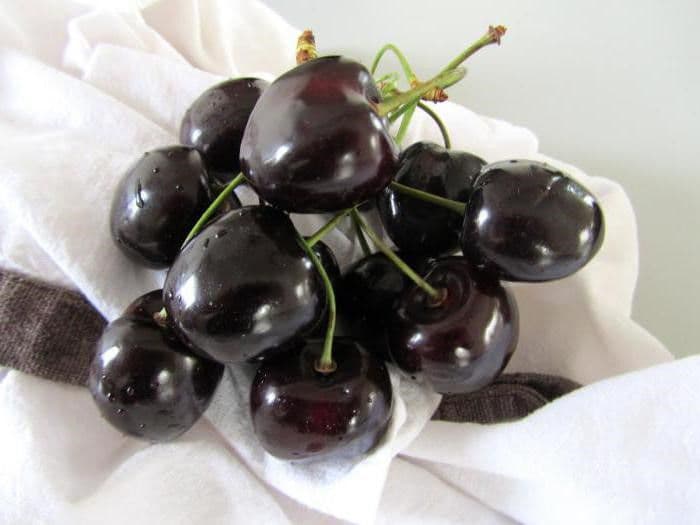 Особенности сорта и выращивания вишни шоколадница