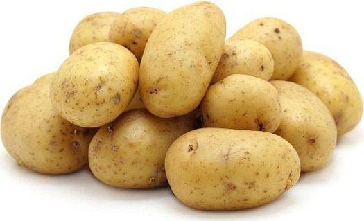 Сорт картофеля гала: характеристики и особенности выращивания
