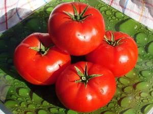 Лучшие низкорослые сорта томатов для открытого грунта, не требующие пасынкования