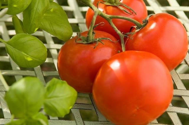 Азиатский сорт с божественным вкусом — томат пабло f1: подробное описание помидоров