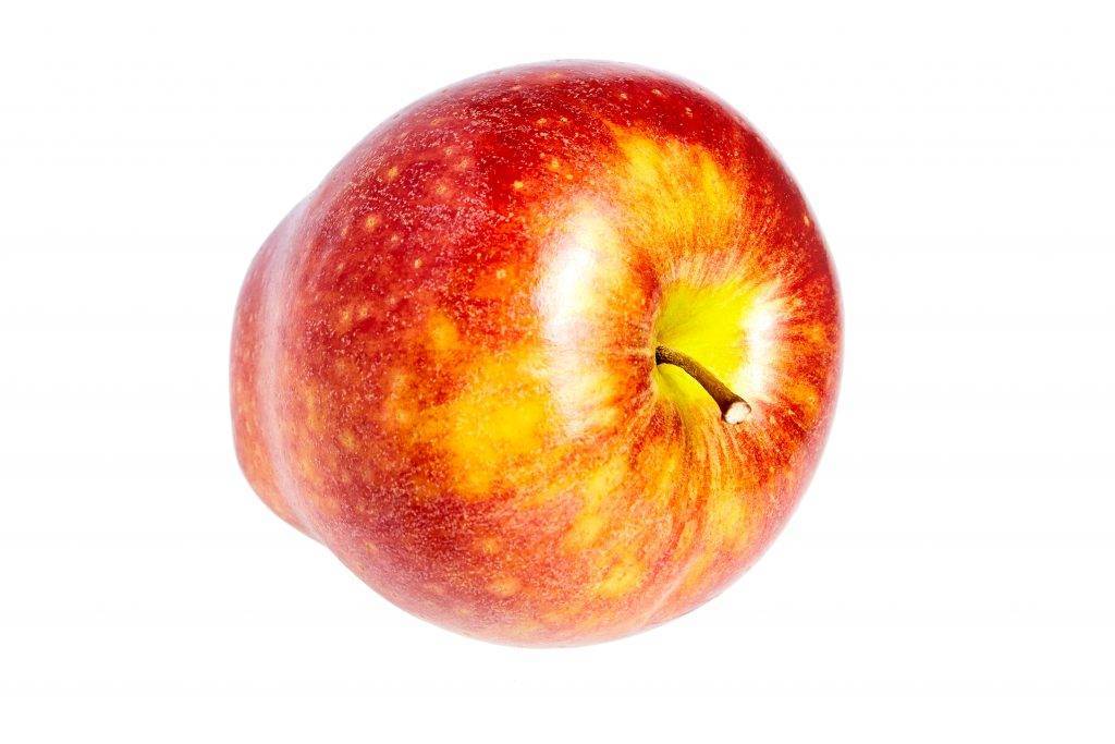 Описание и характеристики яблок сорта Ред Чиф, выращивание и уход