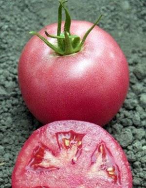 Характеристика и описание сорта томата пинк парадайз, его урожайность