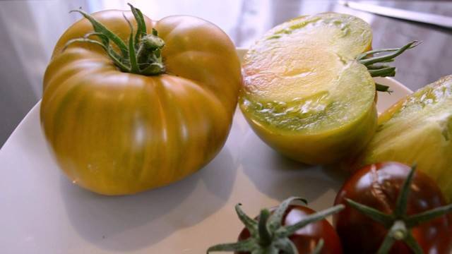 Характеристика и описание сорта томата диаболик, его урожайность