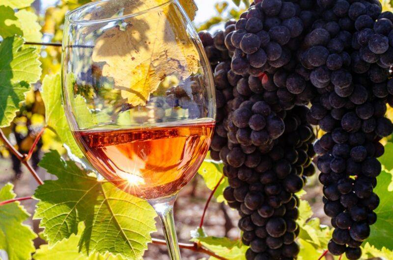 Популярное вино из винограда лидия