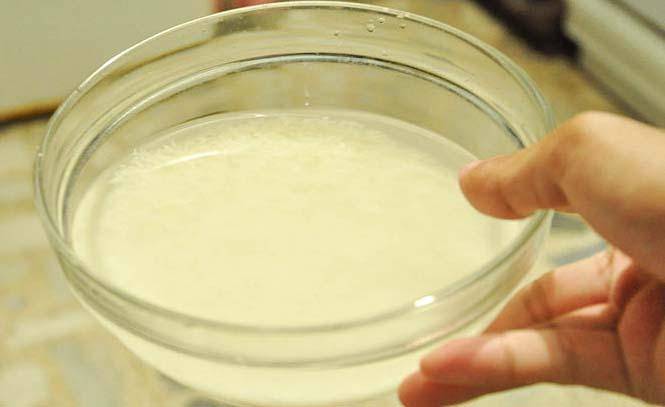 Для чего поросятам нужно сухое молоко и как его приготовить