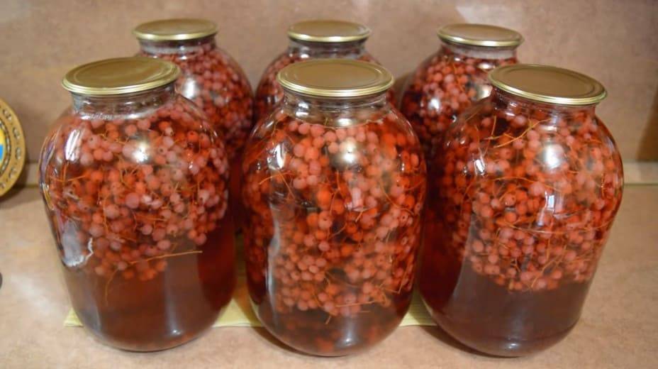 Компот из красной смородины на зиму — 9 простых рецептов