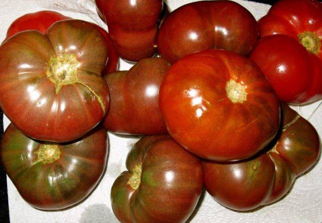 Описание томата шоколадное чудо и рекомендации по выращиванию сорта