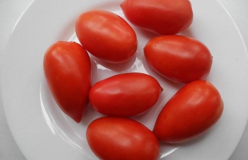 Сорт томата «изюминка» для выращивания в любых условиях: описание, характеристика, посев на рассаду, подкормка, урожайность, фото, видео и самые распространенные болезни томатов