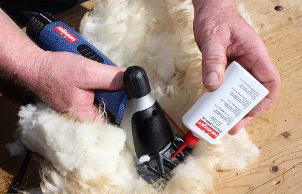 Технология стрижки овец