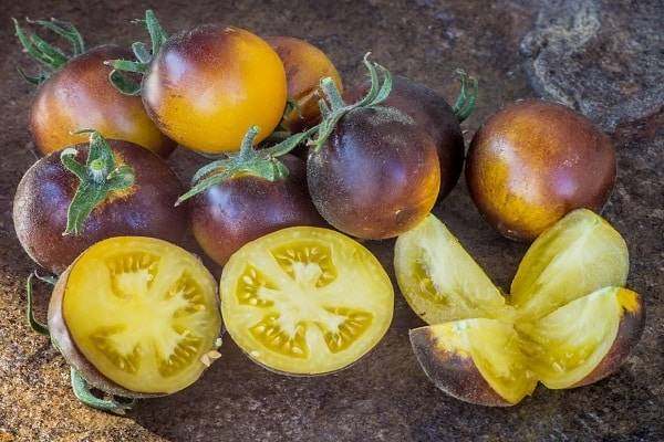 Описание сорта томата Мохнатый кейт, его характеристика и урожайность