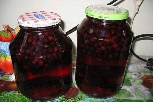Рецепт из черноплодной. заготовка черноплодной рябины: рецепты приготовления на зиму. как лучше заготавливать на зиму