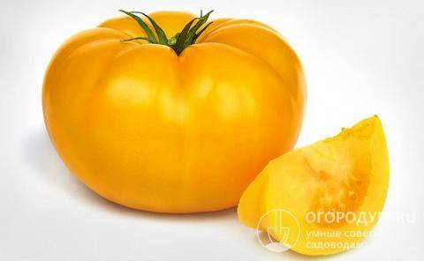 Томат «гигант лимонный»: первый в списке лучших желтоплодных сортов