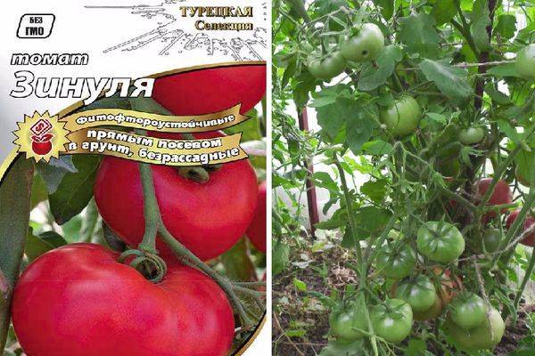 Сорт помидоров ренет: как вырастить?