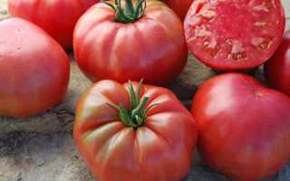 Описание сорта томата суперэкзотик, его характеристика и урожайность
