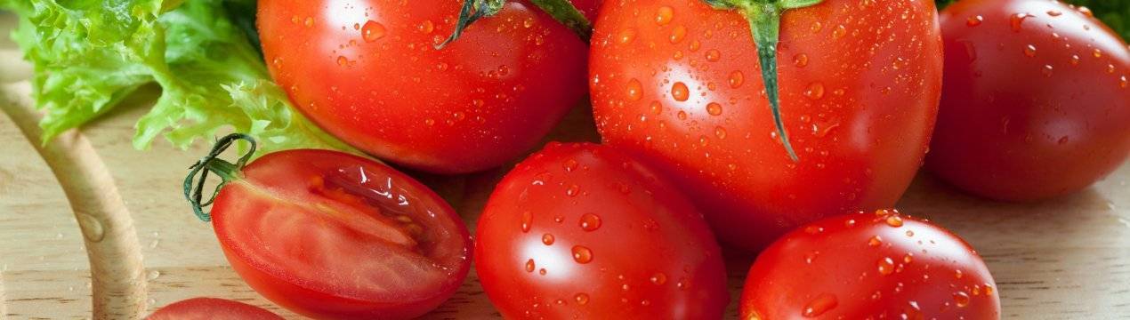 Лечебные свойства и польза помидоров для здоровья человека