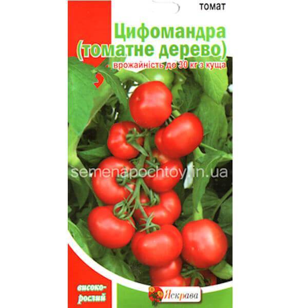 Как выращивать сорт томата «юсуповский»: описание, характеристика, посев на рассаду, подкормка, урожайность, фото, видео и самые распространенные болезни томатов