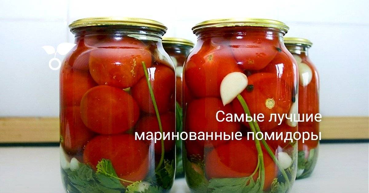Топ 16 рецептов соленых помидоров в банках холодным способом без уксуса