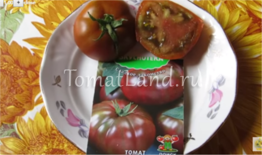 Описание и урожайность сорта томата Зефир в шоколаде