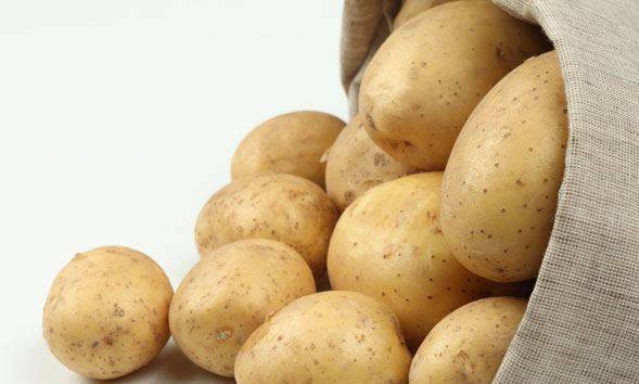 Картофель — уладар: описание сорта, фото, отзывы