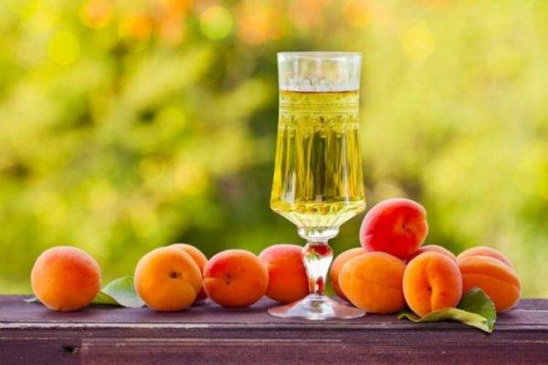 Вино из айвы: советы по приготовлению оригинального домашнего напитка