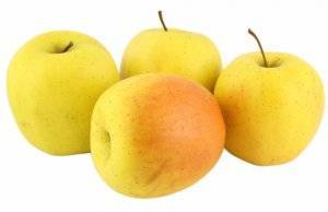 Чем хорош сорт яблок голден, характеристика сорта, посадка и уход