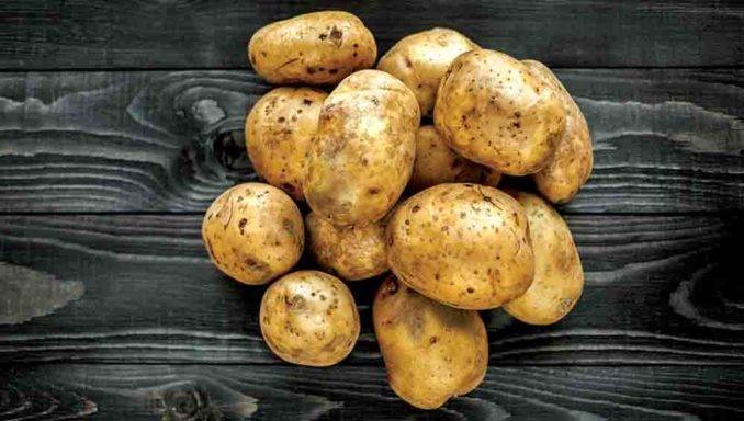 Классификация картофеля по видам