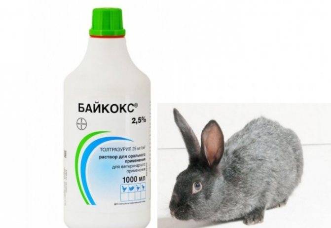 по применению Байкокса для кроликов, состав и сроки хранения