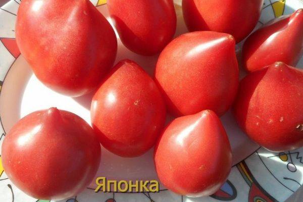 Самые вкусные томаты японской селекции