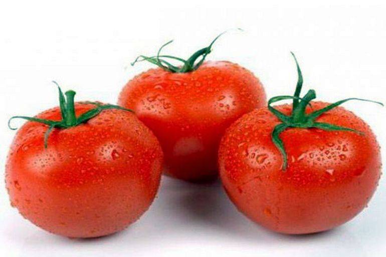 Сорт томата «алпатьева 905 а»: описание, характеристика, посев на рассаду, подкормка, урожайность, фото, видео и самые распространенные болезни томатов