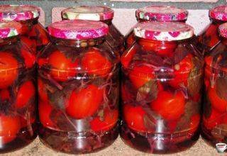 Маринованные помидоры с чесноком быстрого приготовления