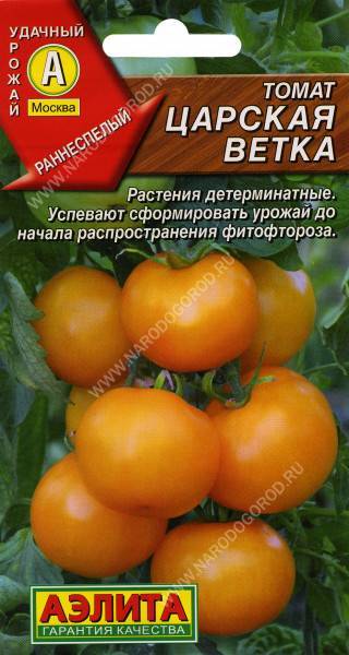 Описание сорта томата царская ветка и его характеристики