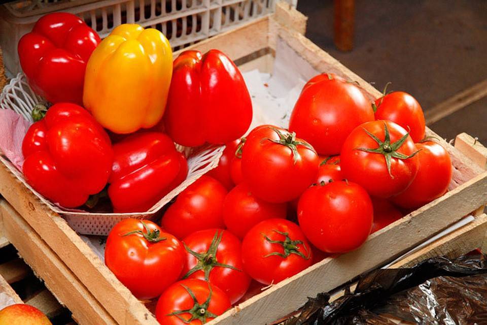 Всё о среднепоздних сортах томатов: за что мы их любим и как правильно их выращивать