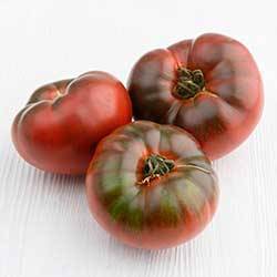 Описание сорта томата Касатик и особенности его выращивания
